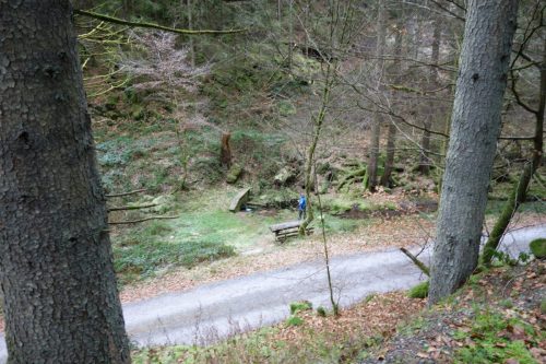 DSC00697