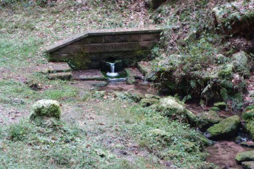 DSC00700