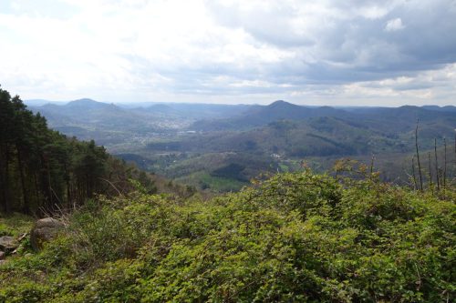 DSC01521