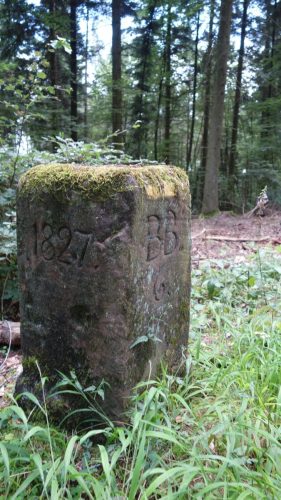 DSC09709