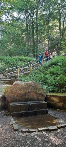 IMG-20250713-WA0023