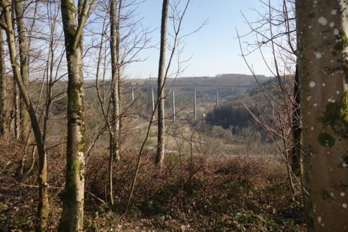 DSC01304