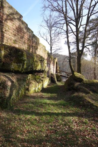 DSC01309