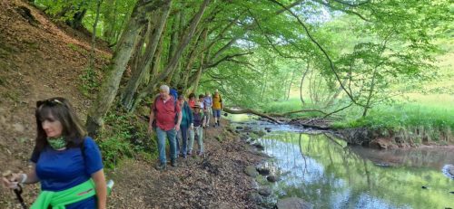 IMG-20250518-WA0023