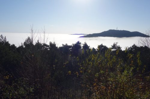 DSC00604