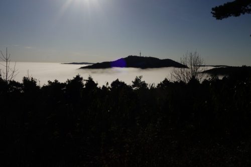 DSC00609