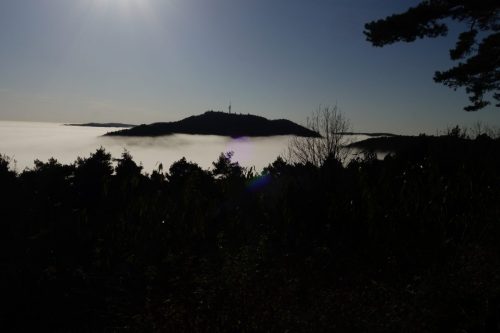 DSC00611