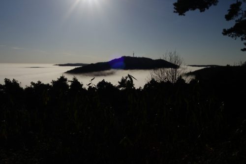 DSC00619