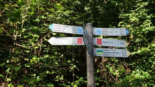 DSC00064 (1)