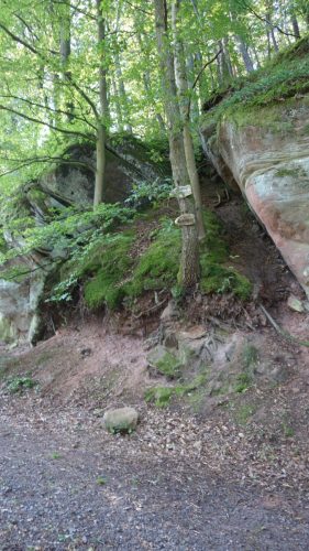 DSC00070 (1) (1)