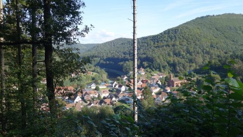 DSC00071 (1) (1)