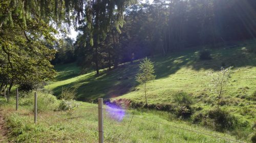 DSC00072 (1) (1) (1) (1)
