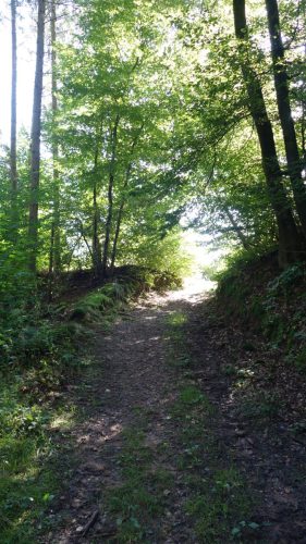 DSC00073