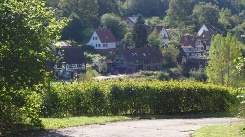 DSC00074 (1)