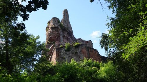 DSC00091 (1) (1)