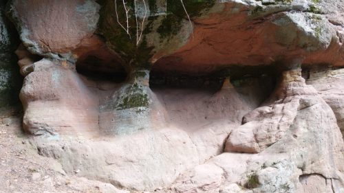 DSC00096 (1) (1) (1)