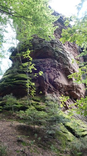 DSC00097 (1) (1) (1)