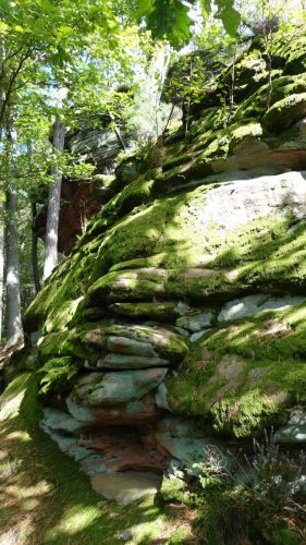 DSC00099 (1) (1) (1)