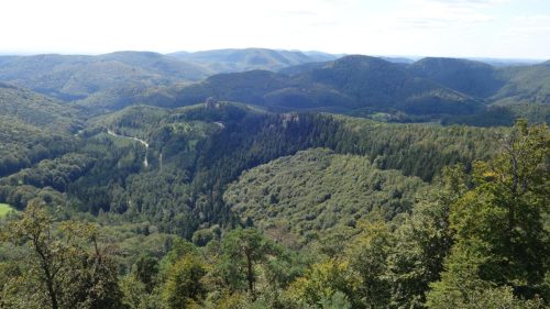 DSC00141 (1) (1) (1) (1)