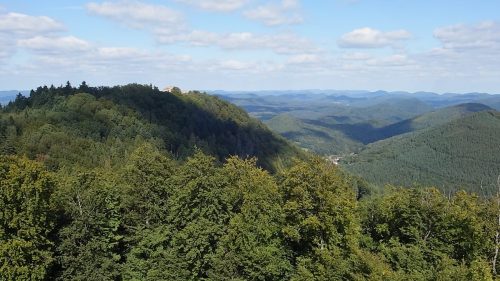 DSC00163 (1) (1)