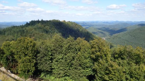 DSC00164 (1) (1)