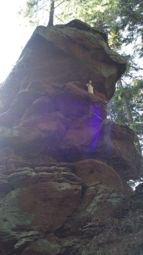 DSC00170 (1) (1)