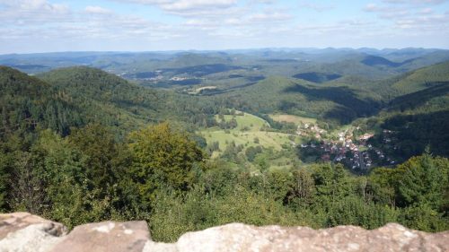 DSC00185 (1) (1)